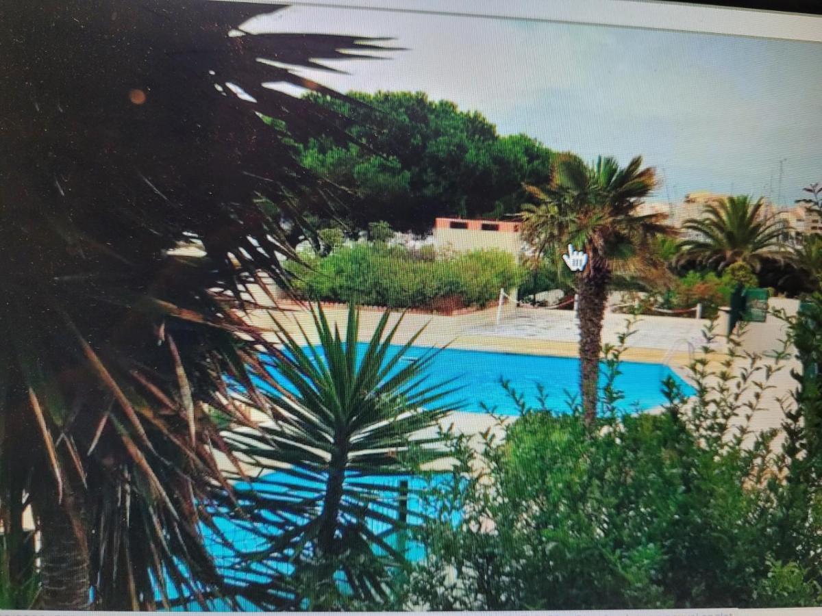 Studio Cap D Agde Vue Port Eksteriør billede
